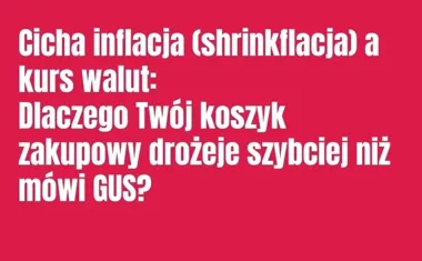 Obraz do artykułu: Cicha inflacja (shrinkflacja) a kurs walut: Dlaczego Twój koszyk zakupowy drożeje szybciej niż mówi GUS?