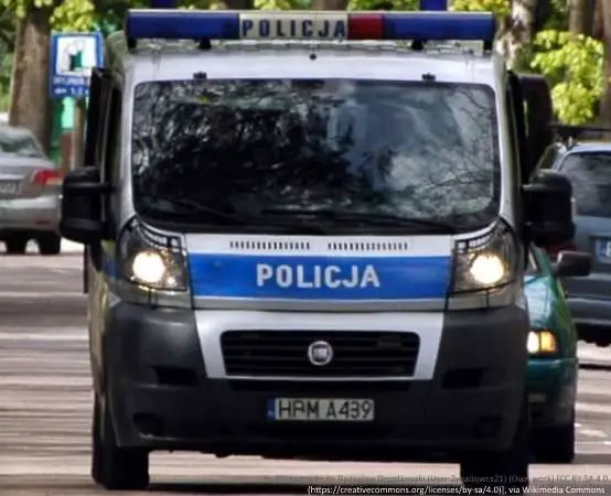 Pies skrajnie wychłodzony uratowany przez policjantów z komisariatu Oksywie