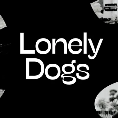 Lonely Dogs koncert rockowy