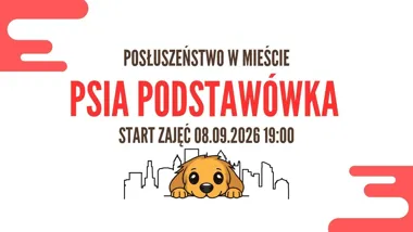 Psia Podstawówka POSŁUSZEŃSTWO W MIEŚCIE – zajęcia dla psów