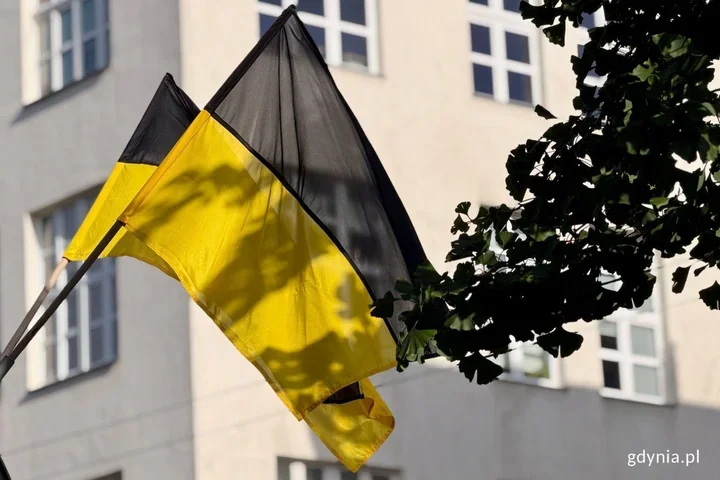 Radni jednogłośnie poparli „Gdiniô”. Teraz decyzja ministra