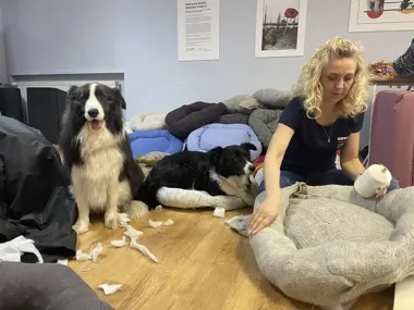 W Gdyni powstaną legowiska z odzysku, a każdy może doszyć coś od siebie