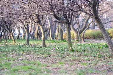 Gdynia wchodzi w weekend na pełnych obrotach od sportu po czekoladowe laboratorium
